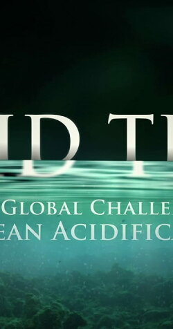 Acid Test: The Global Challenge of Ocean Acidification (2009) Acid Test: The Global Challenge of Ocean Acidification (2009)