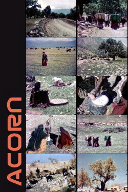 Acorn (1967)
