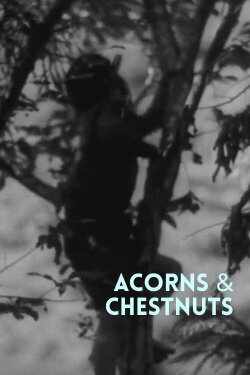 Acorns & Chestnuts (1941) Acorns & Chestnuts (1941)