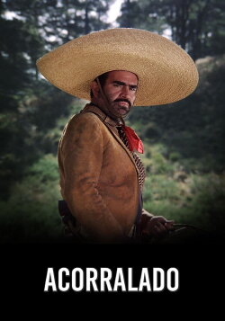 Acorralado (1989) Acorralado (1989)