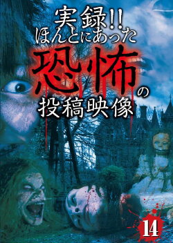 Actual Record! Real Horror Posted Video 14 (2014) Actual Record! Real Horror Posted Video 14 (2014)