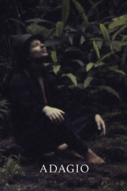 Adage (1980)