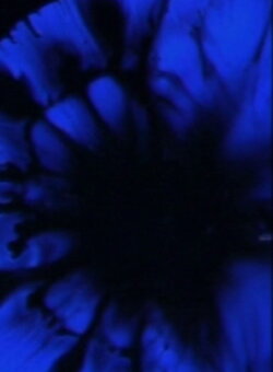 Adagio (2002)