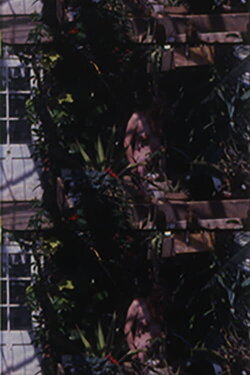 Adam Went On To Till the Soil... But What Happened to Eve? (1989) Adam Went On To Till the Soil... But What Happened to Eve? (1989)
