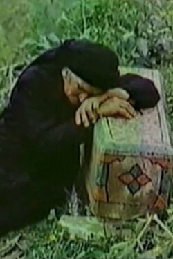 Adgilis Deda (1976) Adgilis Deda (1976)