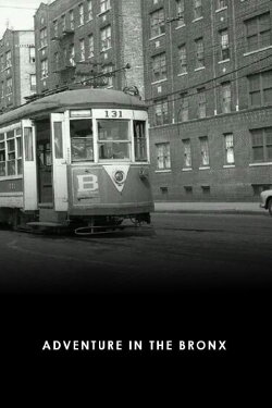 Adventure in the Bronx (1941) Adventure in the Bronx (1941)