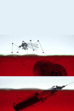 Aedes (2011) Aedes (2011)
