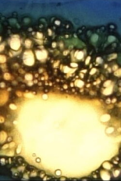 Aerodynamics of the Black Sun (2006)