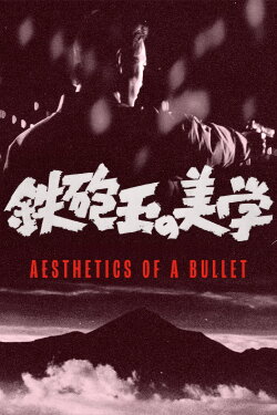 Aesthetics of a Bullet (1973) Aesthetics of a Bullet (1973)