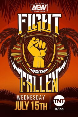 AEW Fight for the Fallen 2020 (2020)