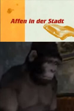 Affen in der Stadt (2011) Affen in der Stadt (2011)