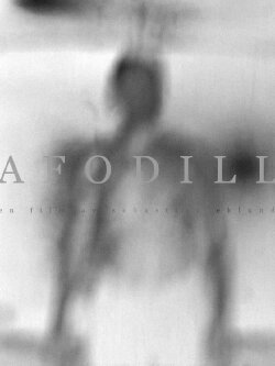 Afodill (2022) Afodill (2022)