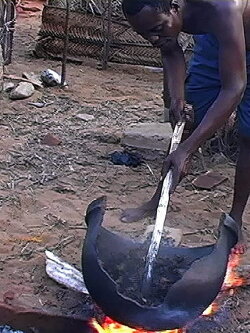 African Herbsmen: Healing and Religion along the Bight of Benin (2012)