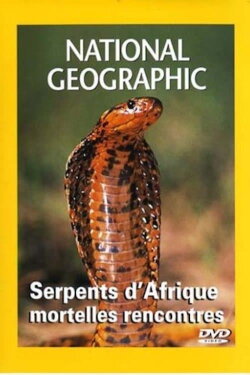 African Snakes (2001)