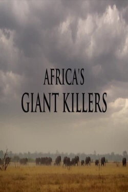 Africa's Giant Killers (2014) Africa's Giant Killers (2014)