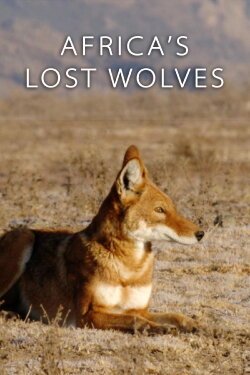 Africa's Lost Wolves (2016)