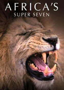Africa's Super Seven (2005) Africa's Super Seven (2005)