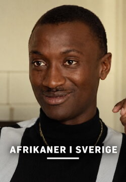 Afrikaner i Sverige (1995) Afrikaner i Sverige (1995)