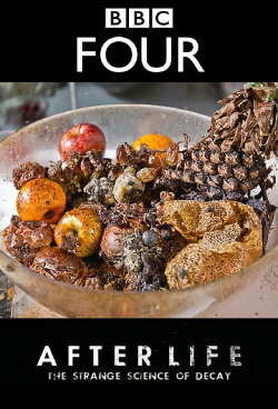 After Life: The Strange Science of Decay (2011) After Life: The Strange Science of Decay (2011)