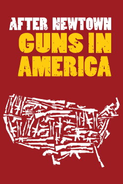After Newtown: Guns in America (2013) After Newtown: Guns in America (2013)