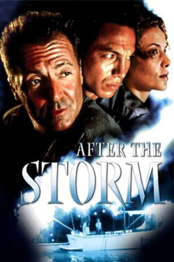 After the Storm (2001) After the Storm (2001)