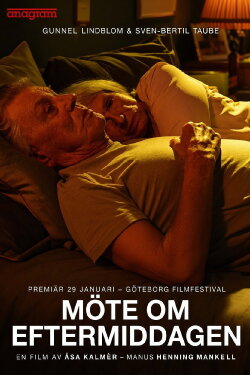 Afternoon Encounter (2017) Afternoon Encounter (2017)