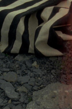 Agatha (2012)