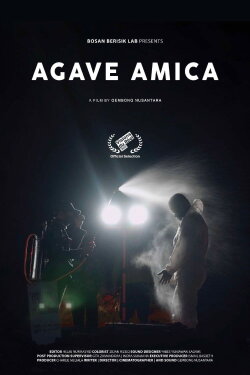 Agave Amica (2022) Agave Amica (2022)