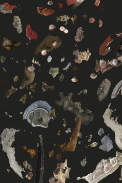 AI Mold Garden (2022)