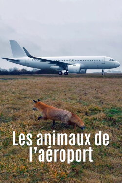 Airport Animal Stories (2023) Airport Animal Stories (2023)