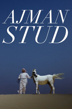 Ajman Stud (2022)
