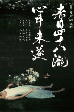 Akame 48 Waterfalls (2003)