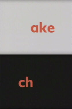 Ake & Ch (1991) Ake & Ch (1991)
