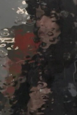 Akira Tsuboi Documents (2013)