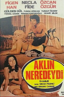 Aklın Neredeydi (1978) Aklın Neredeydi (1978)