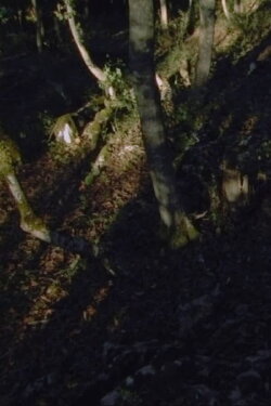 Akra (2017) Akra (2017)