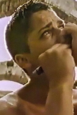 Alcyon (1990)