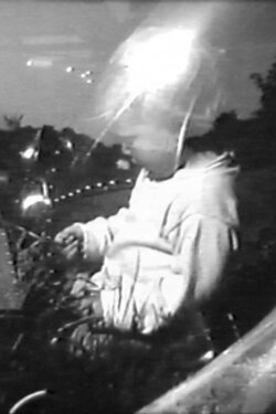 Aleph (1982)
