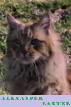 Alexander Baxter (1987)