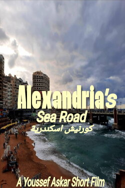 Alexandria's sea road (2024) Alexandria's sea road (2024)