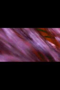 Alienscapes+ (2019)_ Alienscapes+ (2019)_