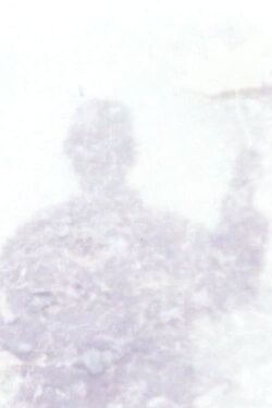 All Alone (1985)