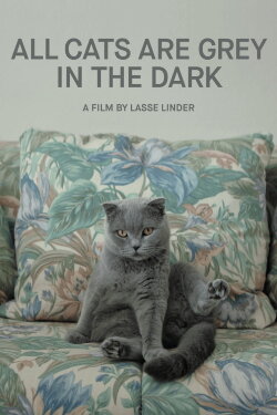All Cats Are Grey in the Dark (2019) All Cats Are Grey in the Dark (2019)