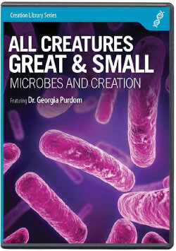 All Creatures Great & Small (2010) All Creatures Great & Small (2010)
