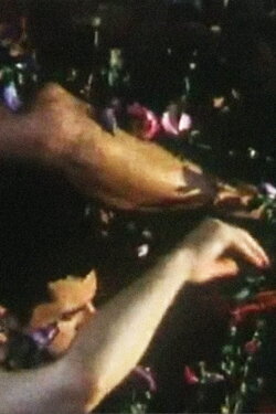 Alléluia (2008)