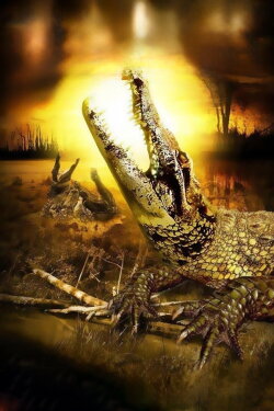 Alligator Alley (2000) Alligator Alley (2000)