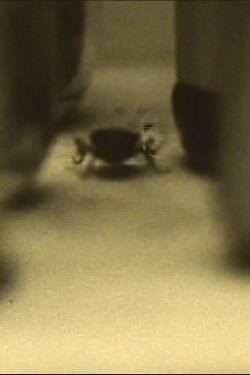 All’s Quiet in Sparkle City (1971)