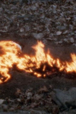 Alma, Silueta en Fuego (1975) Alma, Silueta en Fuego (1975)