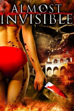 Almost Invisible (2010)