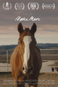 Alpha Mare (2019)